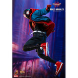 1:6 Spider-Man : Into the Spider Verse - Miles Morales Figure MMS567 Hot Toys