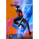 1:6 Spider-Man : Into the Spider Verse - Miles Morales Figure MMS567 Hot Toys