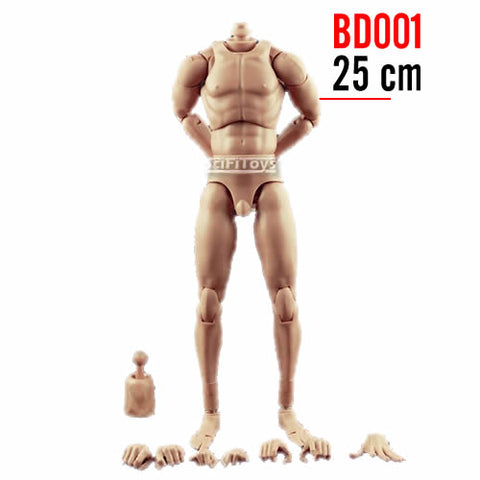 Dragon Narrow Shoulders Slim 4.0 Male Body Figure Toy 1/6 Scale Changeable  Hands