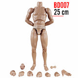 1:6 Standard Male Narrow Shoulder Body for Custom Figure